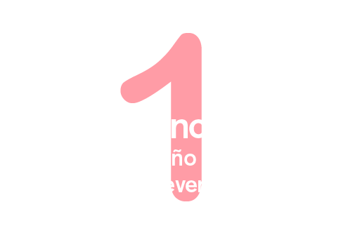 Elige tu brincolín ideal